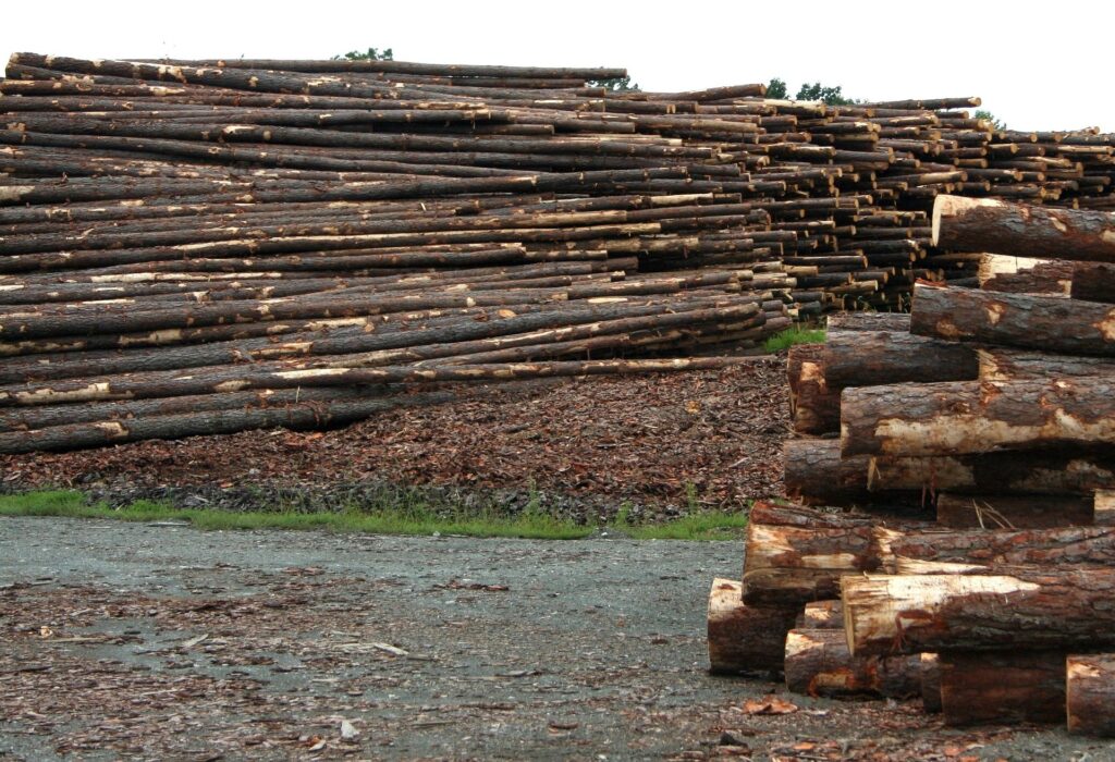 Forestry Industry, Lead generation and B2B marketing in the U.S. involve outreach, CRM, landing pages, email marketing, call-to-action, funnels, opt-ins, conversions, targeting, prospects, plus sales pipeline, decision-makers, SaaS, networking, partnerships, demand generation, ABM, enterprises, procurement, solutions, along with U.S. businesses, startups, small businesses, tech companies, digital agencies, local SEO, American market, U.S. leads, nationwide campaigns, and U.S. clients, Biz demand gen, Business Demand Generation.