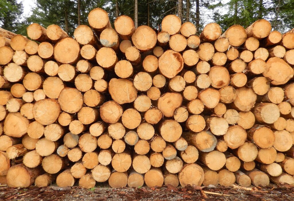 Forestry Industry, Lead generation and B2B marketing in the U.S. involve outreach, CRM, landing pages, email marketing, call-to-action, funnels, opt-ins, conversions, targeting, prospects, plus sales pipeline, decision-makers, SaaS, networking, partnerships, demand generation, ABM, enterprises, procurement, solutions, along with U.S. businesses, startups, small businesses, tech companies, digital agencies, local SEO, American market, U.S. leads, nationwide campaigns, and U.S. clients, Biz demand gen, Business Demand Generation.